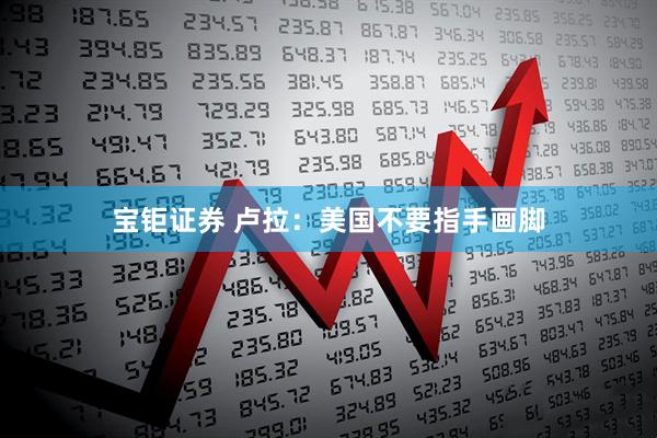 宝钜证券 卢拉：美国不要指手画脚